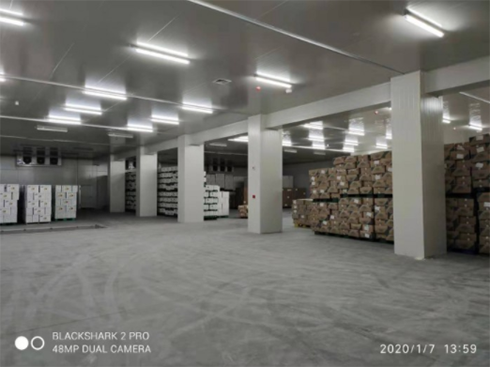 建造榴蓮低溫冷凍庫 建造榴蓮低溫冷凍庫