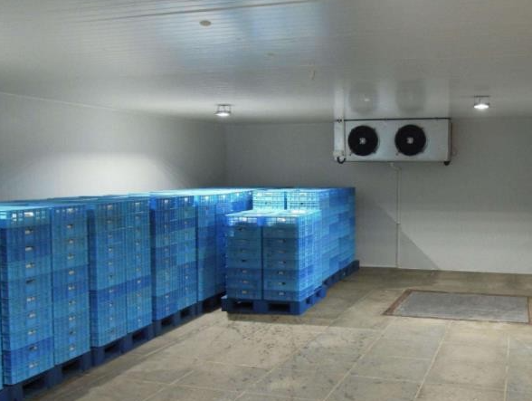 低溫冷凍庫造價 低溫冷凍庫造價