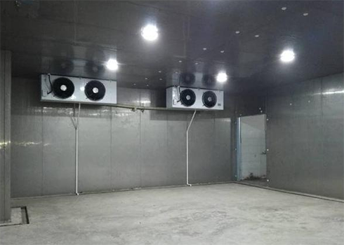 建造垃圾冷藏庫 建造垃圾冷藏庫