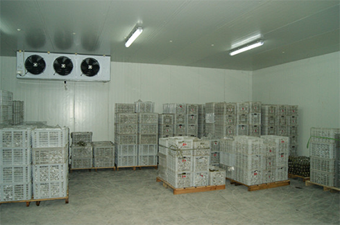 食品冷庫造價費用 食品冷庫造價費用