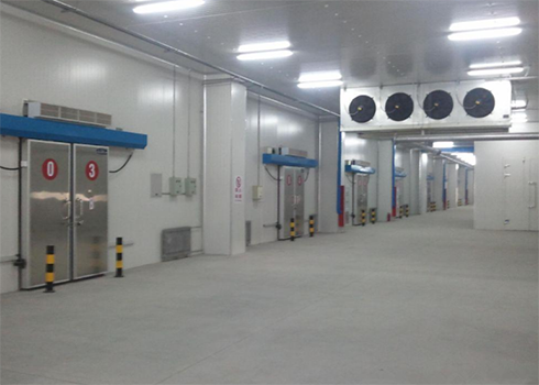 食品低溫速凍庫建造 食品低溫速凍庫建造