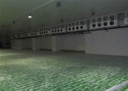 物流低溫冷藏庫建造安裝 物流低溫冷藏庫建造安裝