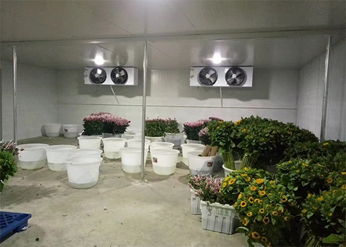 鮮花保鮮冷庫建造 鮮花保鮮冷庫建造