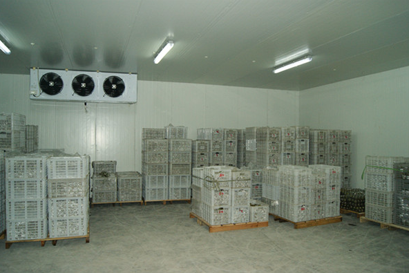 氣調冷庫建造廠家 氣調冷庫建造廠家