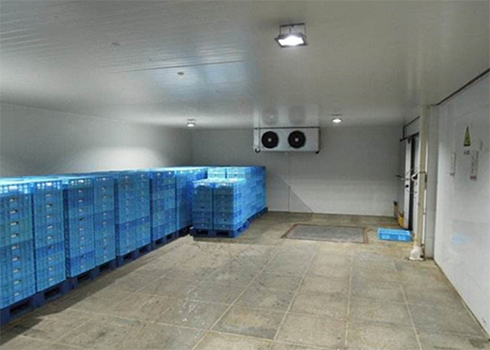 氣調冷庫建造安裝 氣調冷庫建造安裝