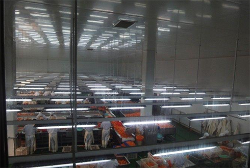 水產冷凍庫建造多少錢 水產冷凍庫建造多少錢