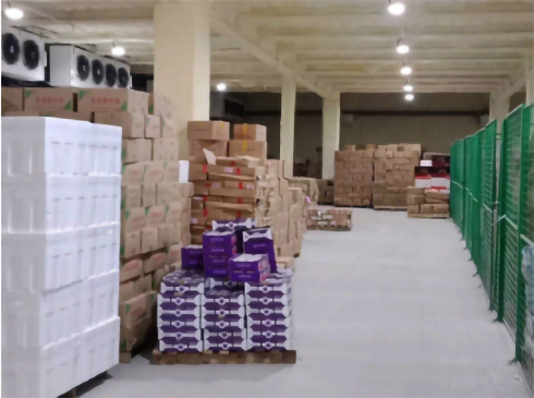 建造生鮮冷鏈物流冷庫安裝費用 建造生鮮冷鏈物流冷庫安裝費用