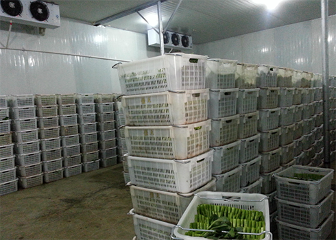 保鮮冷庫保養規范 保鮮冷庫保養規范