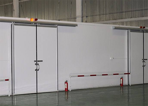 自動化立體冷庫 自動化立體冷庫