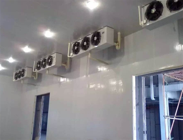 辣椒保鮮庫(kù)建造 辣椒保鮮庫(kù)建造