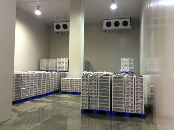 蘋果保鮮氣調(diào)庫(kù)安裝價(jià)格 蘋果保鮮氣調(diào)庫(kù)安裝價(jià)格