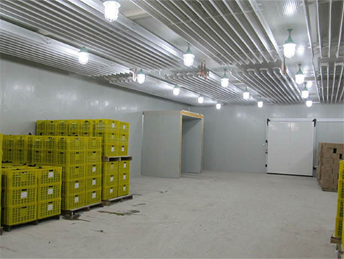 水果冷庫(kù)建設(shè)特點(diǎn) 水果冷庫(kù)建設(shè)特點(diǎn)