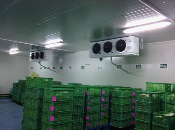 低溫生鮮儲藏冷庫 低溫生鮮儲藏冷庫