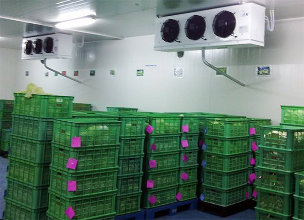 低溫生鮮儲藏冷庫 低溫生鮮儲藏冷庫