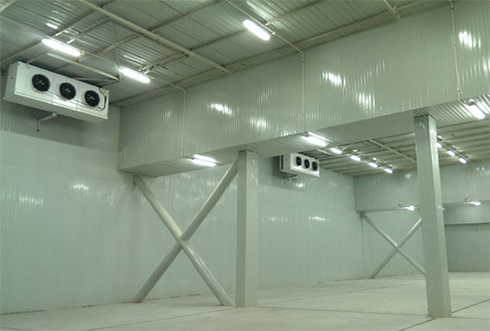 小型食品冷庫建造 小型食品冷庫建造