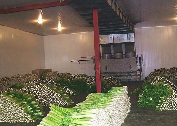 蔬菜冷藏保鮮庫建造安裝 蔬菜冷藏保鮮庫建造安裝