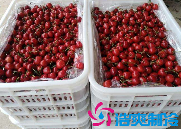 櫻桃氣調建造完成后有哪些儲存方法和步驟?_浩爽制冷 櫻桃氣調建造完成后有哪些儲存方法和步驟?_浩爽制冷