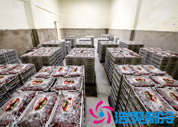 櫻桃氣調建造完成后有哪些儲存方法和步驟?_浩爽制冷 櫻桃氣調建造完成后有哪些儲存方法和步驟?_浩爽制冷