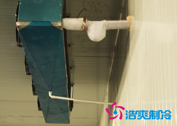 建造大型農(nóng)產(chǎn)品基地冷庫造價(jià)需要投資多少費(fèi)用? 建造大型農(nóng)產(chǎn)品基地冷庫造價(jià)需要投資多少費(fèi)用?