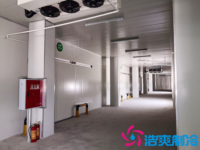 芭蕉氣調保鮮庫安裝如何確保果實的長期儲存？_浩爽制冷