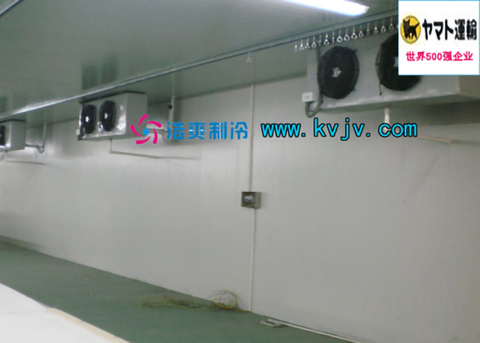 雅瑪多(中國)大型物流冷庫設計建造工程案例