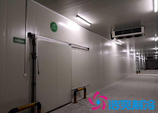 新鮮檳榔如何通過建造檳榔凍庫有效儲存?_浩爽制冷 新鮮檳榔如何通過建造檳榔凍庫有效儲存?_浩爽制冷