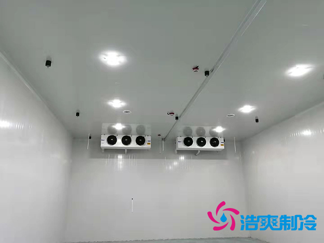超低溫凍庫建設價格與哪些因素有關?_浩爽制冷 超低溫凍庫建設價格與哪些因素有關?_浩爽制冷