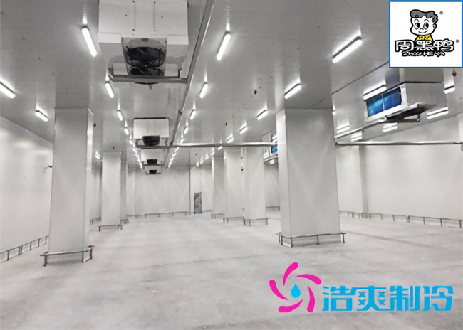 湖北周黑鴨80000m3生產加工成品低溫物流冷庫施工工程案例 湖北周黑鴨80000m3生產加工成品低溫物流冷庫施工工程案例