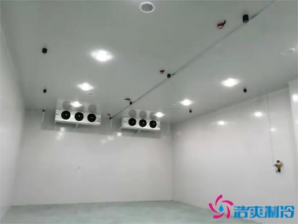 食品冷凍庫建造需要多少成本?_浩爽制冷 食品冷凍庫建造需要多少成本?_浩爽制冷