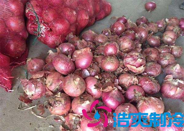 建一個(gè)洋蔥保鮮庫(kù)要多少錢(qián)呢？_浩爽制冷