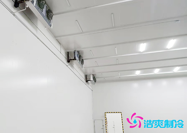 安徽三只松鼠30000m3食品冷藏庫建造 安徽三只松鼠30000m3食品冷藏庫建造