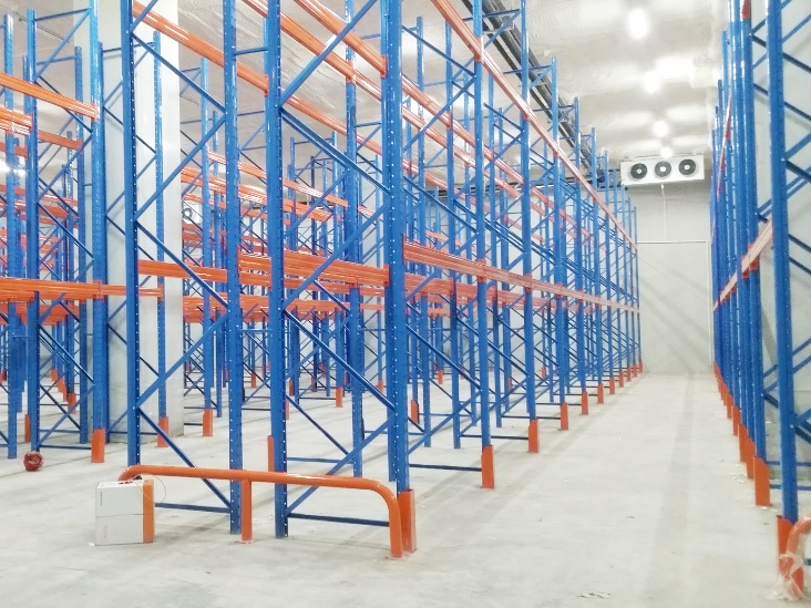 建造一個水果和蔬菜的新鮮冷藏室要花多少錢呢?_浩爽制冷 建造一個水果和蔬菜的新鮮冷藏室要花多少錢呢?_浩爽制冷