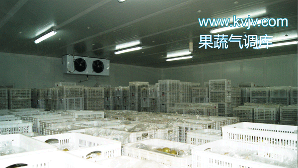衢州蜜之源果業氣調保鮮冷庫建造工程 衢州蜜之源果業氣調保鮮冷庫建造工程