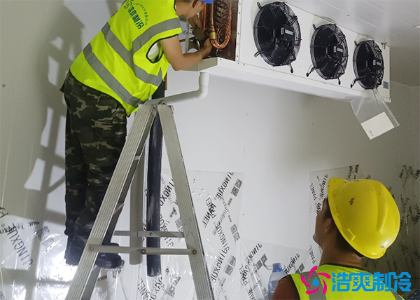 1000平米大型排骨冷庫建造設計方案,排骨冷凍庫安裝造價預算多少錢?-浩爽制冷 1000平米大型排骨冷庫建造設計方案,排骨冷凍庫安裝造價預算多少錢?-浩爽制冷