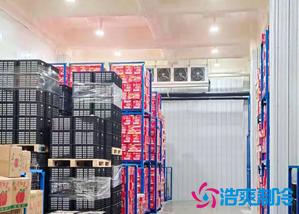大型蔬菜冷庫建造價格多少錢,果蔬保鮮冷藏庫安裝設計規(guī)范-浩爽制冷 大型蔬菜冷庫建造價格多少錢,果蔬保鮮冷藏庫安裝設計規(guī)范-浩爽制冷