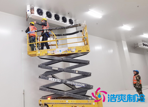 蔬菜種植基地建造600立方米保鮮冷庫大概需要多少錢?-浩爽制冷 蔬菜種植基地建造600立方米保鮮冷庫大概需要多少錢?-浩爽制冷