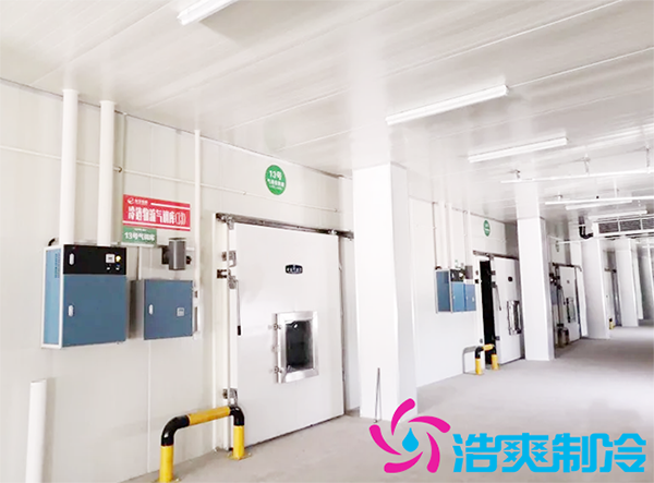 農產品批發市場建造700立方保鮮冷庫全套制冷設備報價多少錢?-浩爽制冷 農產品批發市場建造700立方保鮮冷庫全套制冷設備報價多少錢?-浩爽制冷