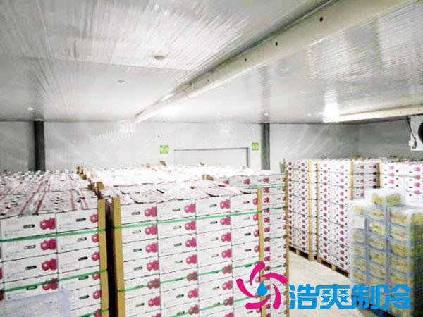 建造一個(gè)火龍果冷庫(kù)要花多少錢(qián)?-浩爽制冷 建造一個(gè)火龍果冷庫(kù)要花多少錢(qián)?-浩爽制冷