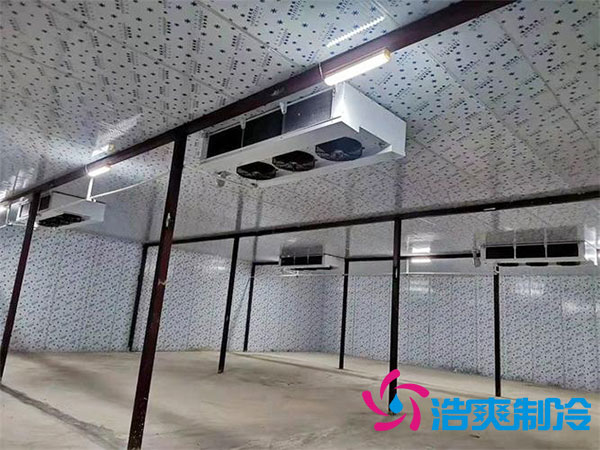 建造一個(gè)火龍果冷庫(kù)要花多少錢(qián)?-浩爽制冷 建造一個(gè)火龍果冷庫(kù)要花多少錢(qián)?-浩爽制冷