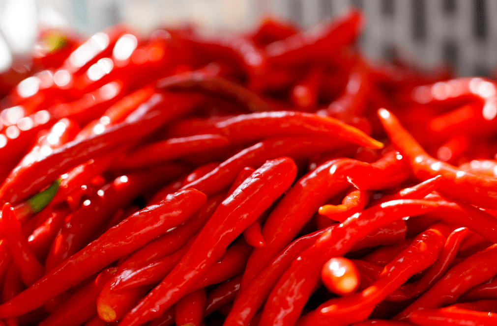 小米辣冷庫溫度標準是多少?-浩爽制冷 小米辣冷庫溫度標準是多少?-浩爽制冷