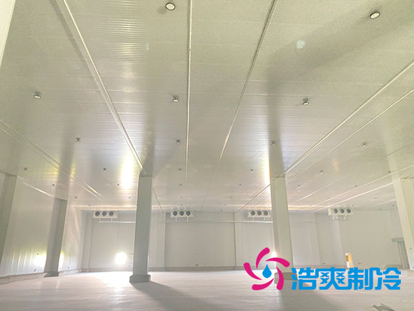 建一個100平方的乳制品冷凍庫要多少錢? 建一個100平方的乳制品冷凍庫要多少錢?