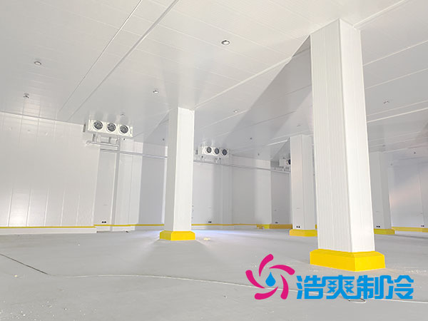 上海低溫冷凍庫建造廠家-浩爽制冷 上海低溫冷凍庫建造廠家-浩爽制冷