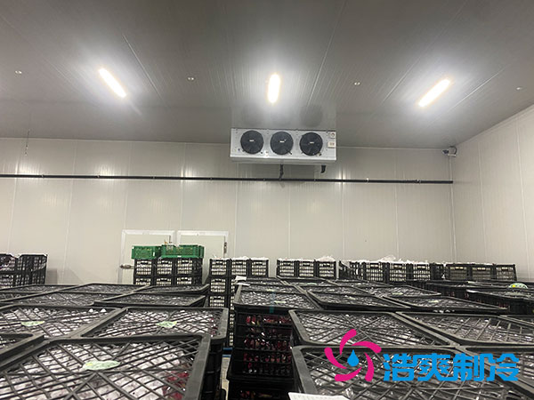 嘉定雞蛋冷庫安裝建造多少錢?-浩爽制冷 嘉定雞蛋冷庫安裝建造多少錢?-浩爽制冷