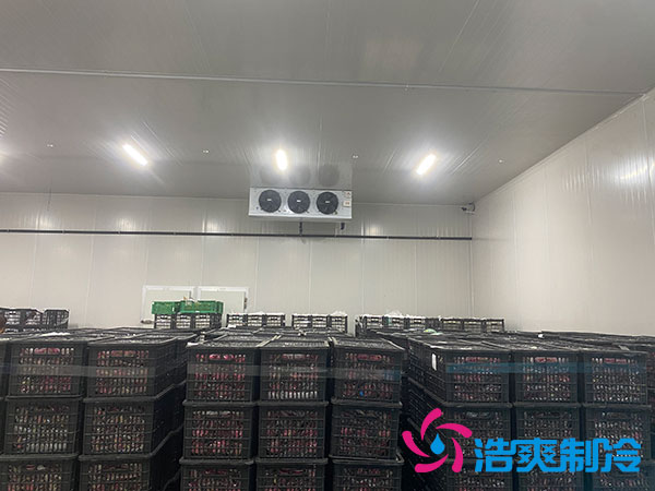 中型冷庫安裝造價多少錢?中型冷庫造價表-浩爽制冷 中型冷庫安裝造價多少錢?中型冷庫造價表-浩爽制冷