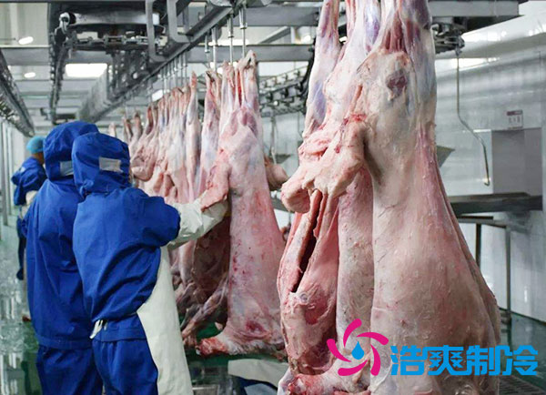 排酸冷庫安裝價錢多少錢?-浩爽制冷 排酸冷庫安裝價錢多少錢?-浩爽制冷