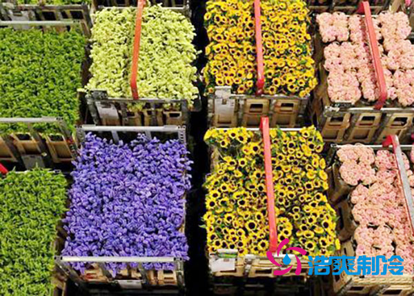 花卉冷庫(kù)安裝預(yù)算造價(jià)多少錢?-浩爽制冷 花卉冷庫(kù)安裝預(yù)算造價(jià)多少錢?-浩爽制冷