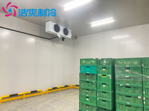 安徽蚌埠1000平米冷庫安裝費多少錢?1000平方冷庫造價費用占比-浩爽制冷 安徽蚌埠1000平米冷庫安裝費多少錢?1000平方冷庫造價費用占比-浩爽制冷