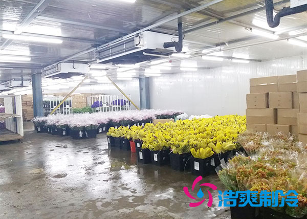 做個(gè)鮮花冷庫要多少錢?-浩爽制冷 做個(gè)鮮花冷庫要多少錢?-浩爽制冷