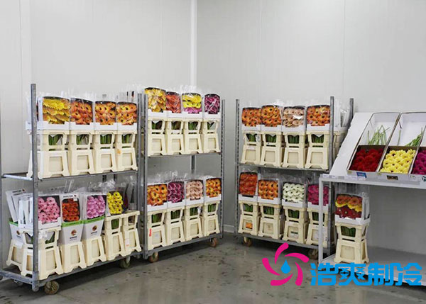 鮮花冷庫多少錢一平方?-浩爽制冷 鮮花冷庫多少錢一平方?-浩爽制冷