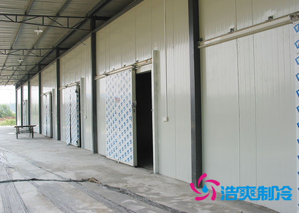 兩千噸冷庫投資成本多少錢合適?大概需要多少面積?-浩爽制冷